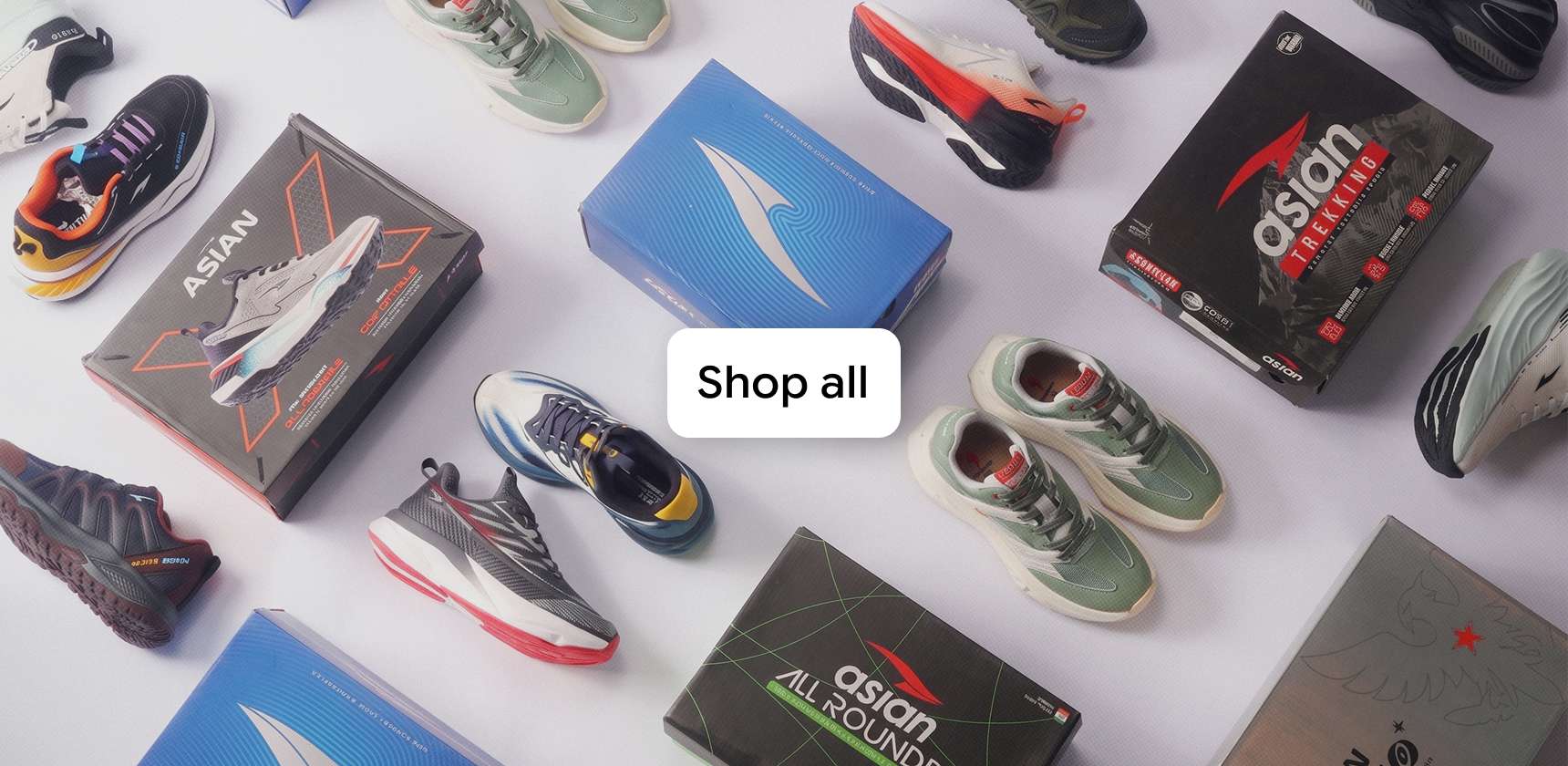 Every Asian Shoe